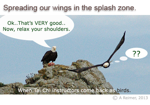 Cartoon Eagles